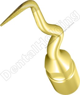 TIP DO ENDODONCJI UE5 WOODPECKER