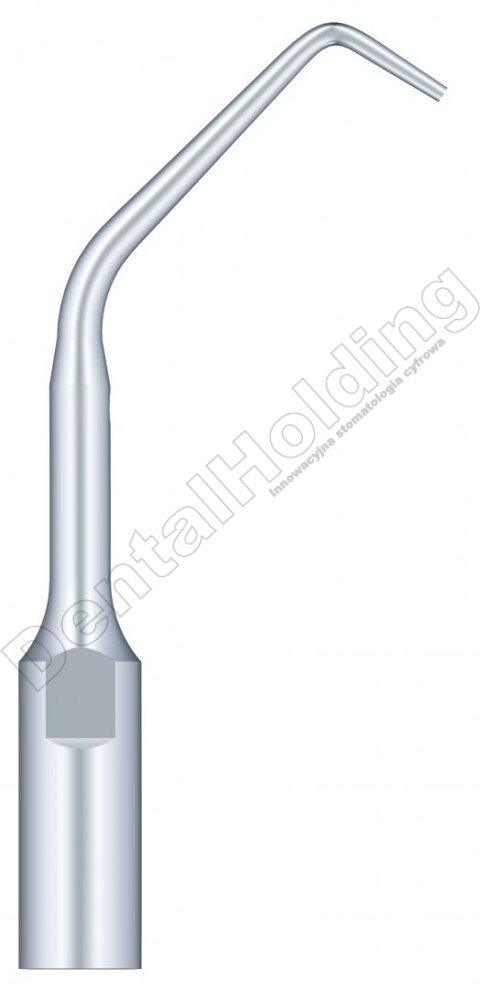 TIP ED10 DO ENDO SYSTEM SATELEC I NSK TIP ED10 DO ENDO SYSTEM SATELEC I NSK