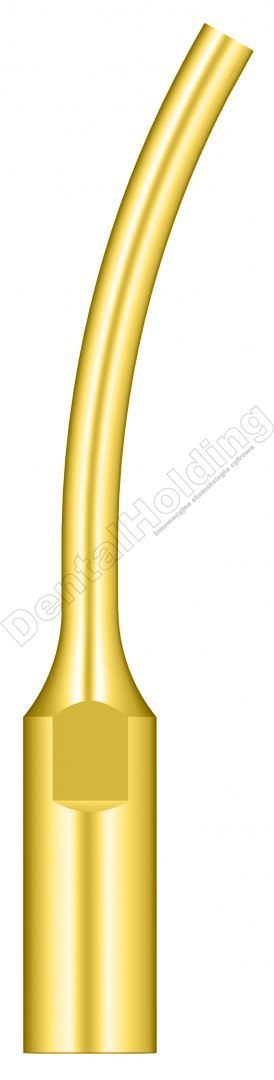 TIP GD7T DO SKALINGU SYSTEM SATELEC I NSK (ZŁOTY) TIP GD7T DO SKALINGU SYSTEM SATELEC I NSK (ZŁOTY)