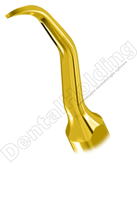 TIP GD10 DO SKALINGU SYSTEM SATELEC I NSK TIP GD10 DO SKALINGU SYSTEM SATELEC I NSK