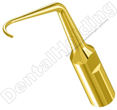 TIP PD2LT DO PERIODONTOLOGII SYSTEM SATELEC i NSK TIP PD2LT DO PERIODONTOLOGII SYSTEM SATELEC i NSK