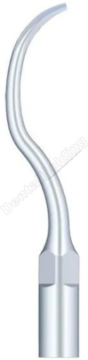 TIP GD9 DO SKALINGU SYSTEM SATELEC I NSK TIP GD9 DO SKALINGU SYSTEM SATELEC I NSK