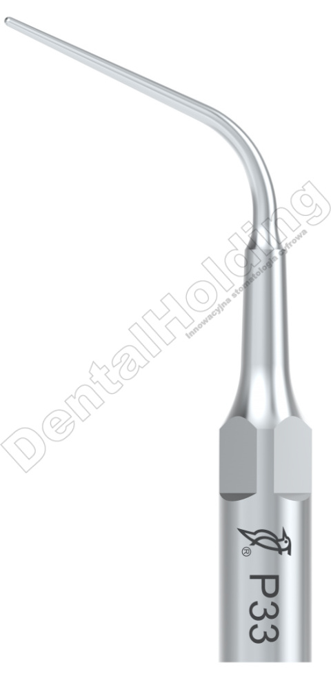 TIP P33 DO PERIODONTOLOGII STANDARD WOODPECKER/EMS