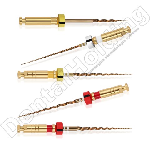 Pilniki maszynowe MG3 II, NiTi Gold, rozmiar: #SV-G2 (asortyment), długośc: 25 mm, opakowanie 5 szt. Pilniki maszynowe MG3 II, NiTi Gold, rozmiar: #SV-G2 (asortyment), długośc: 25 mm, opakowanie 5 szt.