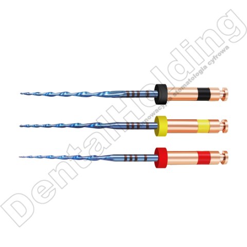 Pilniki maszynowe RC BLUE, system recyprokalny, rozmiar: #R25 #R40 #R50, długość 31 mm, 6 szt. Pilniki maszynowe RC BLUE, system recyprokalny, rozmiar: #R25 #R40 #R50, długość 31 mm, 6 szt.