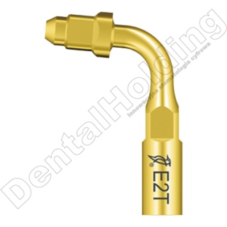 TIP E2T ENDO CHUCK STANDARD DO SKALERA WOODPECKER/EMS (ZŁOTY)