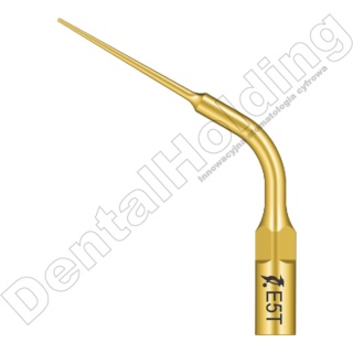 TIP E5T DO ENDO STANDARD WOODPECKER/EMS (ZŁOTY)