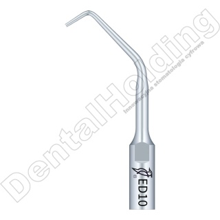 TIP ED10 DO ENDO SYSTEM SATELEC I NSK