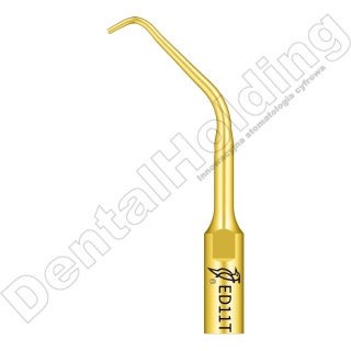 TIP ED11T DO ENDO SYSTEM SATELEC I NSK (ZŁOTY)