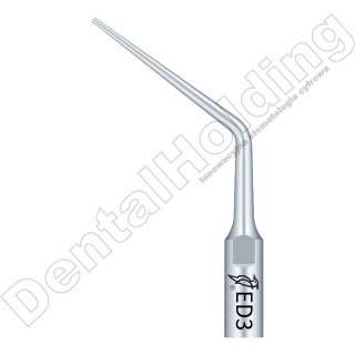 TIP ED3 DO ENDO SYSTEM SATELEC I NSK