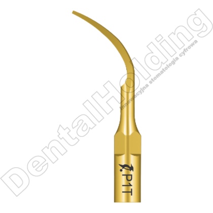 TIP P1T DO PERIODONTOLOGII STANDARD WOODPECKER/EMS (ZŁOTY)