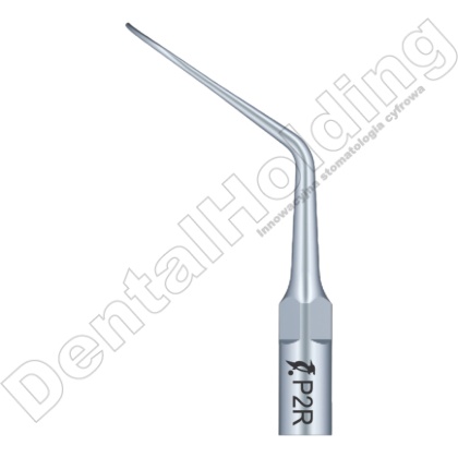 TIP P2R DO PERIODONTOLOGII STANDARD WOODPECKER/EMS