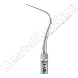 TIP P58R DO SKALERA PT3, PT5, PT-A (WOODPECKER)