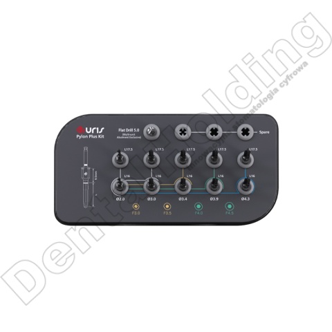 Kaseta Pylon Plus / Pylon Plus Kit