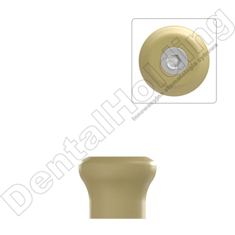 Scanbody SLIM standard kompatybilny z URIS / Nakładka HS URIS (Slim)