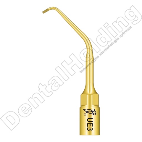 TIP DO ENDODONCJI UE3