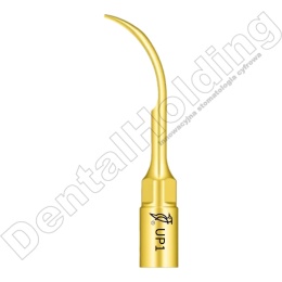 TIP DO PERIODONTOLOGII UP1