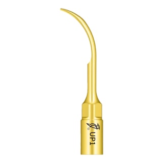 TIP UP1 DO PERIODONTOLOGII