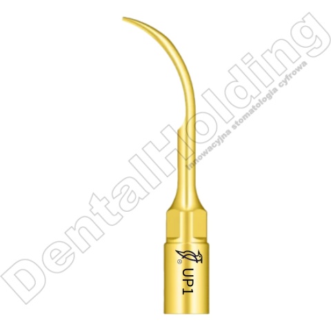 TIP DO PERIODONTOLOGII UP1