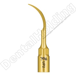 TIP DO PERIODONTOLOGII UP2