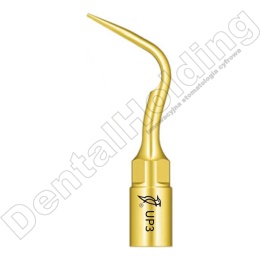 TIP DO PERIODONTOLOGII UP3