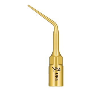 TIP DO PERIODONTOLOGII UP5