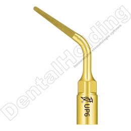 TIP DO PERIODONTOLOGII UP6