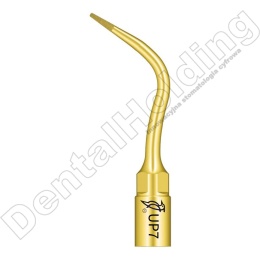 TIP DO PERIODONTOLOGII UP7