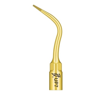TIP DO PERIODONTOLOGII UP7