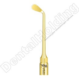 TIP DO PIEZOCHIRURGII US21