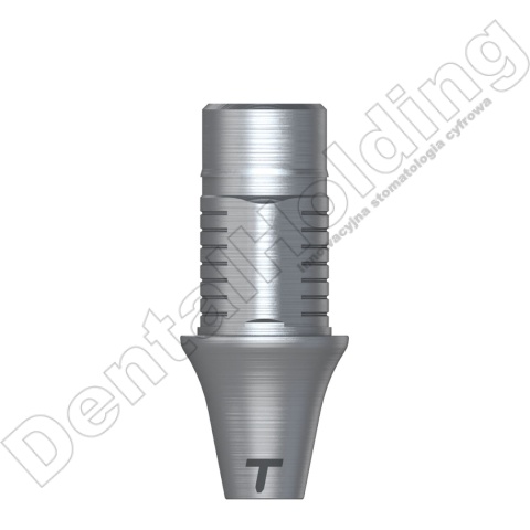 Ti-Base narrow śr. 4,0mm, wys. 5,5mm, cześć dziąsłowa 2mm Non Hex