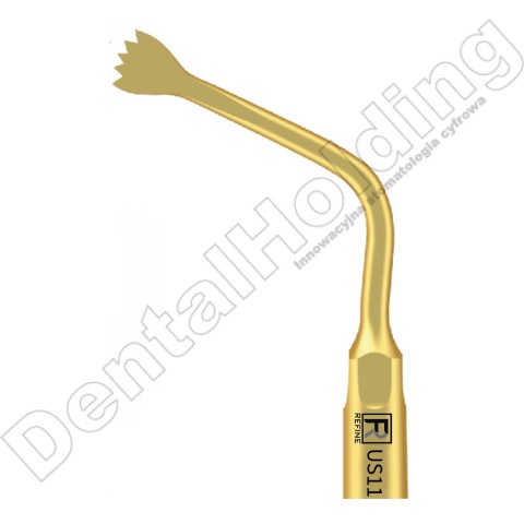 Tip do piezochirurgii US11