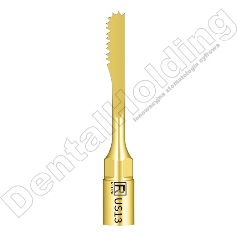 Tip do piezochirurgii US13