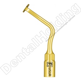 Tip do piezochirurgii US1R