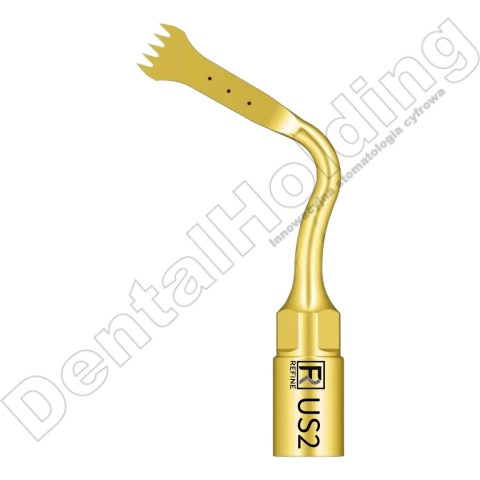 Tip do piezochirurgii US2