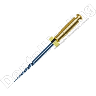 Pilniki maszynowe MG3 BLUE, NiTi blue, rozmiar: #SV 20/.10 (żółte), długość: 19 mm, opakowanie 6 szt.