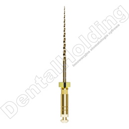 Pilniki maszynowe MG3 II, NiTi Gold, rozmiar: #G1 20/.04 (żółte), długośc: 31 mm, opakowanie 6 szt.