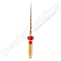 Pilniki maszynowe MG3 II, NiTi Gold, rozmiar: #G2 25/.04 (czerwone), długośc: 25 mm, opakowanie 6 szt.