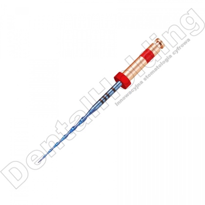 Pilniki maszynowe RC BLUE, system recyprokalny, rozmiar: #R25/.08 (czerwone), długość 31 mm, 6 szt.