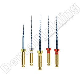 Pilniki maszynowe EVOSANI - Rozmiar: ASSTD (20/.10, 15/.03, 20/.04, 25/.04, 25/.06), Długość: 25 mm, (5szt./opak.)