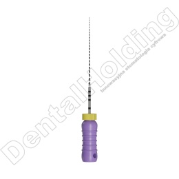 STAINLESS STEEL C FILES - pilniki stalowe do ręcznego opracowania kanału zęba - długość 25mm ( 6 szt./opak)