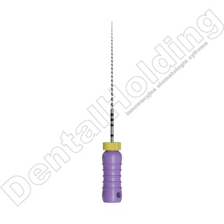 STAINLESS STEEL C FILES - pilniki stalowe do ręcznego opracowania kanału zęba - długość 25mm ( 6 szt./opak)
