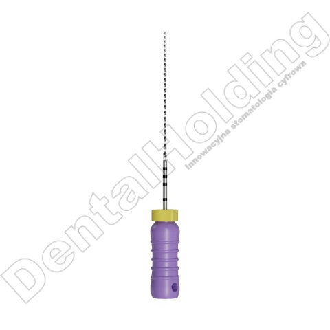 STAINLESS STEEL C FILES - pilniki stalowe do ręcznego opracowania kanału zęba - długość 25mm ( 6 szt./opak)