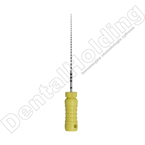 STAINLESS STEEL C FILES - pilniki stalowe do ręcznego opracowania kanału zęba - długość 25mm ( 6 szt./opak)