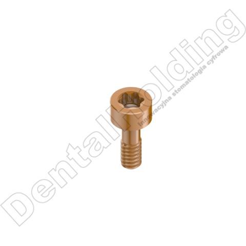 Śruba bezpośrednia STRAUMANN Torx