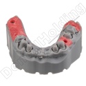 Żywica do imitacji dziąsła Gingiva 1 kg - Gingiva Mask Resin 1 kg - Arma Resin