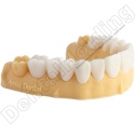 Żywica do modeli dentystycznych Model HP (brzoskwiniowa) 1 kg - Dental Model Resin Model HP (Peach Colour) 1 kg - Arma Resin