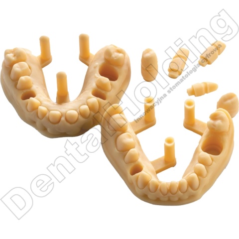 Żywica do modeli dentystycznych Model HP (brzoskwiniowa) 1 kg - Dental Model Resin Model HP (Peach Colour) 1 kg - Arma Resin