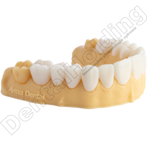 Żywica do modeli dentystycznych Model HP (kość słoniowa) 1 kg - Dental Model Resin Model HP (Ivory Colour) 1 kg - Arma Resin