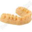 Żywica do modeli dentystycznych Model HP (kość słoniowa) 1 kg - Dental Model Resin Model HP (Ivory Colour) 1 kg - Arma Resin